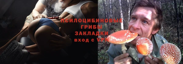 молекула духа Алзамай