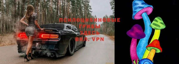 ГАЛЛЮЦИНОГЕННЫЕ ГРИБЫ Алексеевка