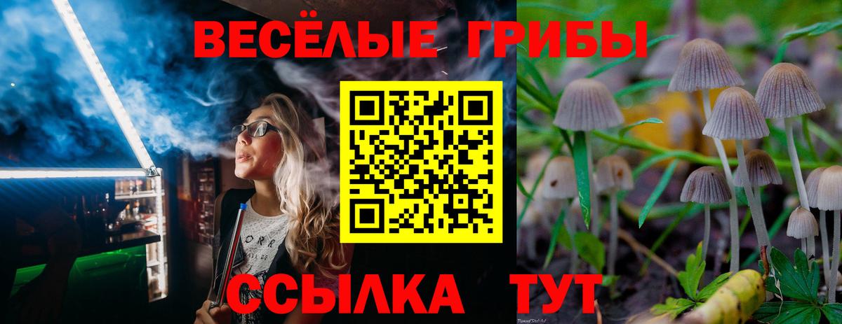 Нижний Новгород  где найти   Вход с VPN  Галлюциногенные грибы GOLDEN TEACHER  Галлюциногенные грибы MAGIC MUSHROOMS 